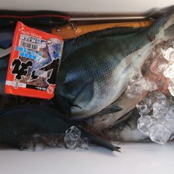 千津丸 釣果