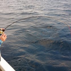 海皇丸 釣果