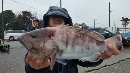 進誠丸 釣果