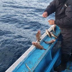 さち丸 釣果