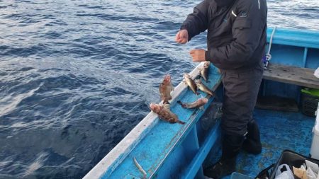 さち丸 釣果