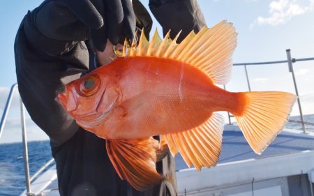 渡船屋たにぐち 釣果