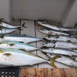 浜栄丸 釣果