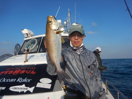 きずなまりん 釣果