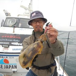 きずなまりん 釣果