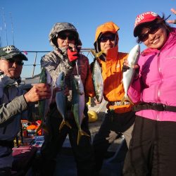 ありもと丸 釣果