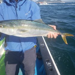 丸万釣船 釣果