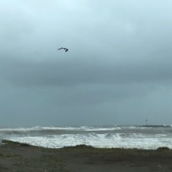 山正丸 釣果