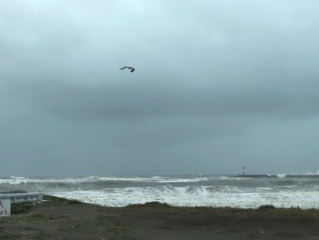 山正丸 釣果