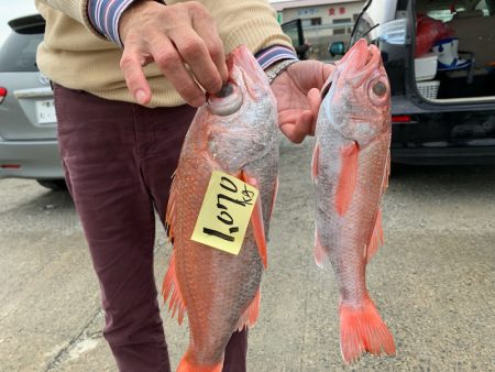 ぽん助丸 釣果