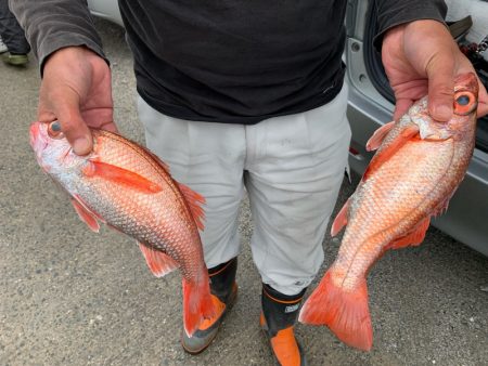 ぽん助丸 釣果