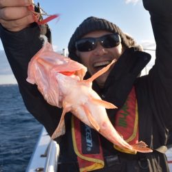 渡船屋たにぐち 釣果