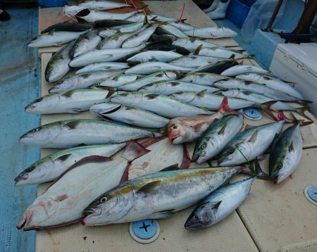 宝生丸 釣果