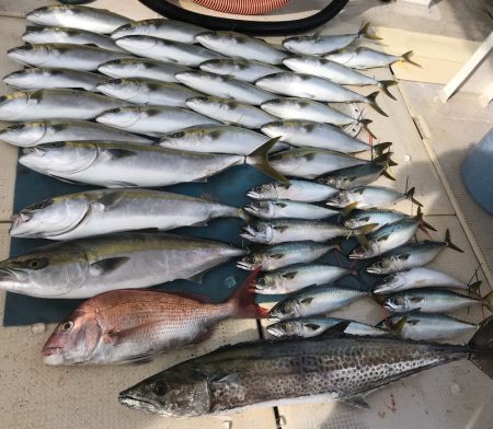 大雄丸 釣果