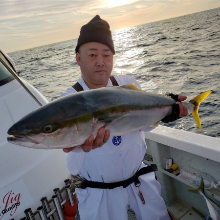 シーライオン 釣果