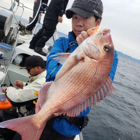 シーライオン 釣果