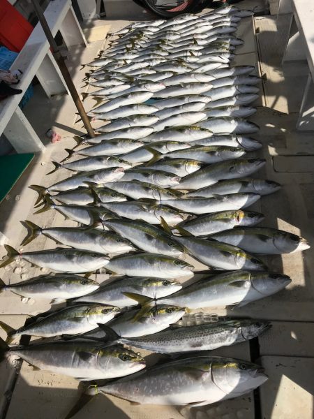 大雄丸 釣果