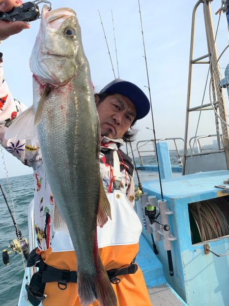 みやけ丸 釣果