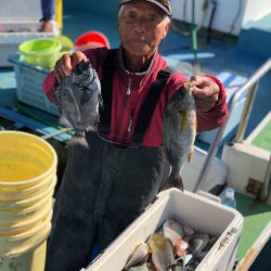 丸万釣船 釣果