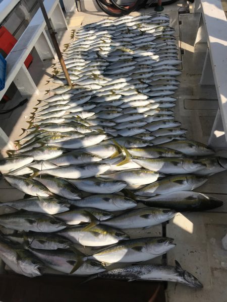 大雄丸 釣果