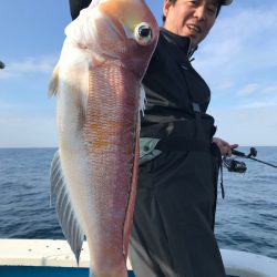 太平丸 釣果