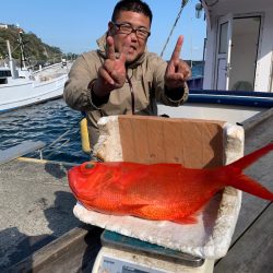 晃山丸 釣果