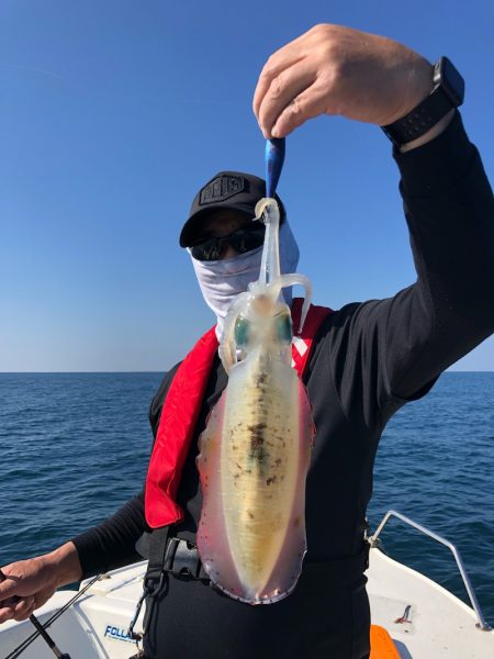 「LaGooN」蒼陽丸 日和号　 釣果