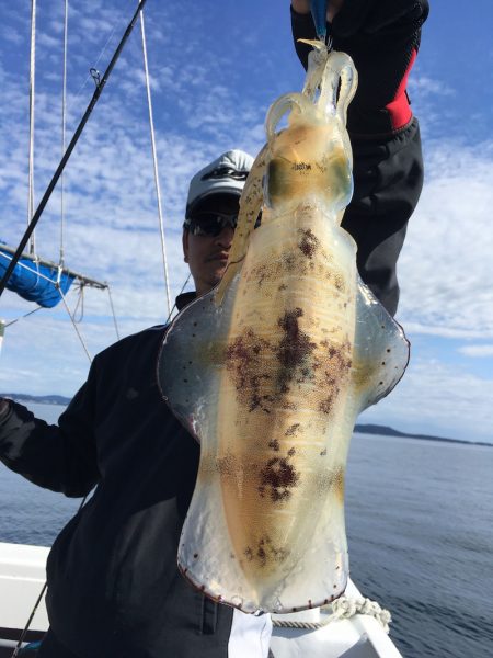 渡船屋たにぐち 釣果