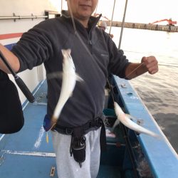 ヤザワ渡船 釣果