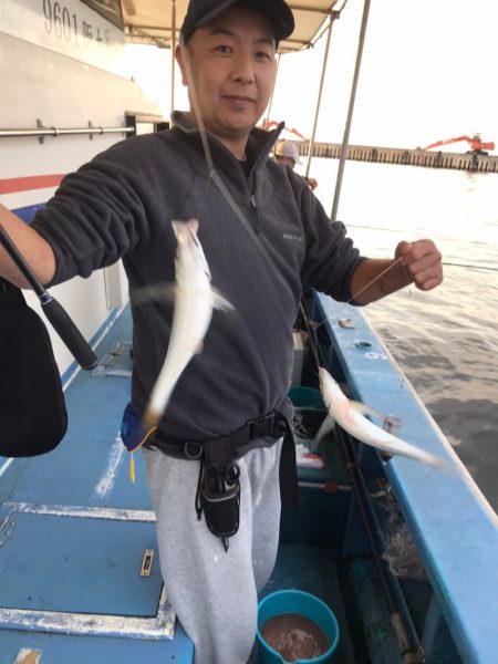 ヤザワ渡船 釣果