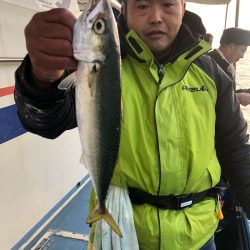 ヤザワ渡船 釣果