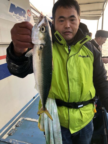 ヤザワ渡船 釣果