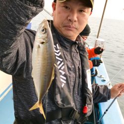 ヤザワ渡船 釣果