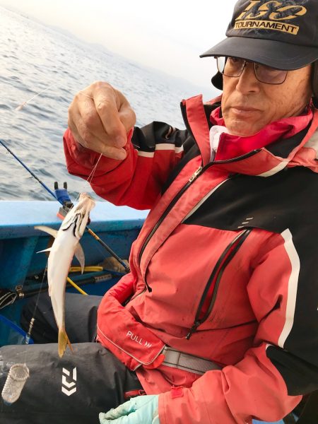 ヤザワ渡船 釣果