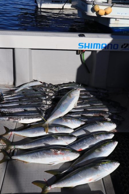 浜栄丸 釣果