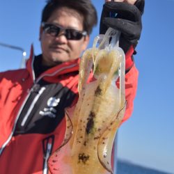 渡船屋たにぐち 釣果