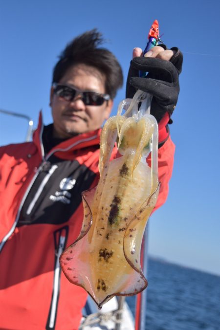 渡船屋たにぐち 釣果