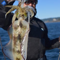 渡船屋たにぐち 釣果