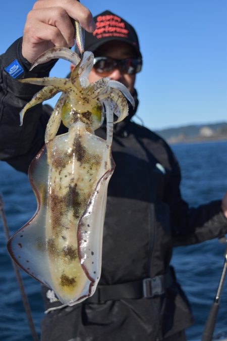 渡船屋たにぐち 釣果