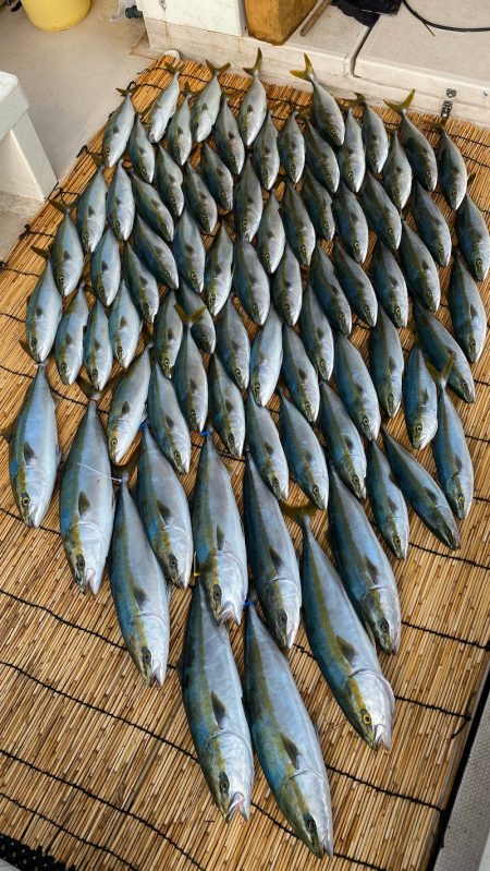 釣人家 釣果