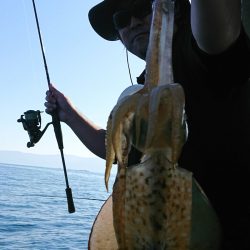 シースナイパー海龍 釣果