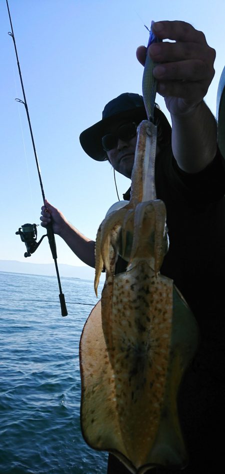 シースナイパー海龍 釣果