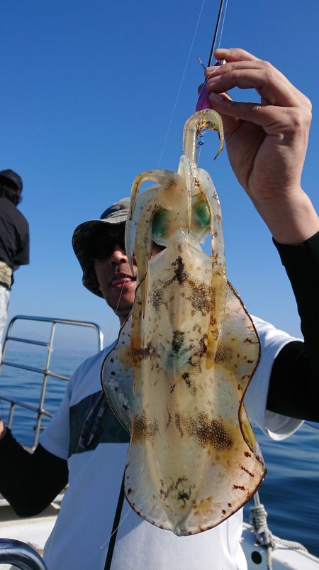 シースナイパー海龍 釣果