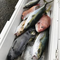 もと明丸 釣果