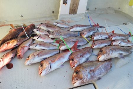 KIM Fishing Guide Service 釣果