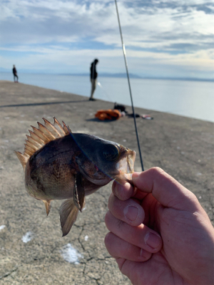 なんでも釣行