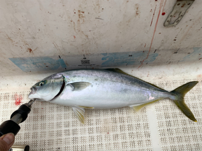 本当に今年最後のマイボート釣行