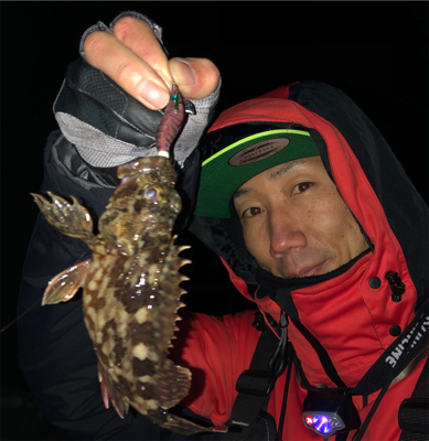 釣り納めはヒイカ釣り☆GUNNING-STYLE