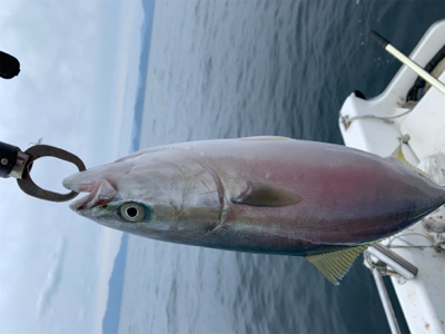 本当に今年最後のマイボート釣行