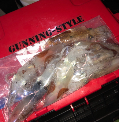 ヒイカちょこっと釣行☆GUNNING-STYLE